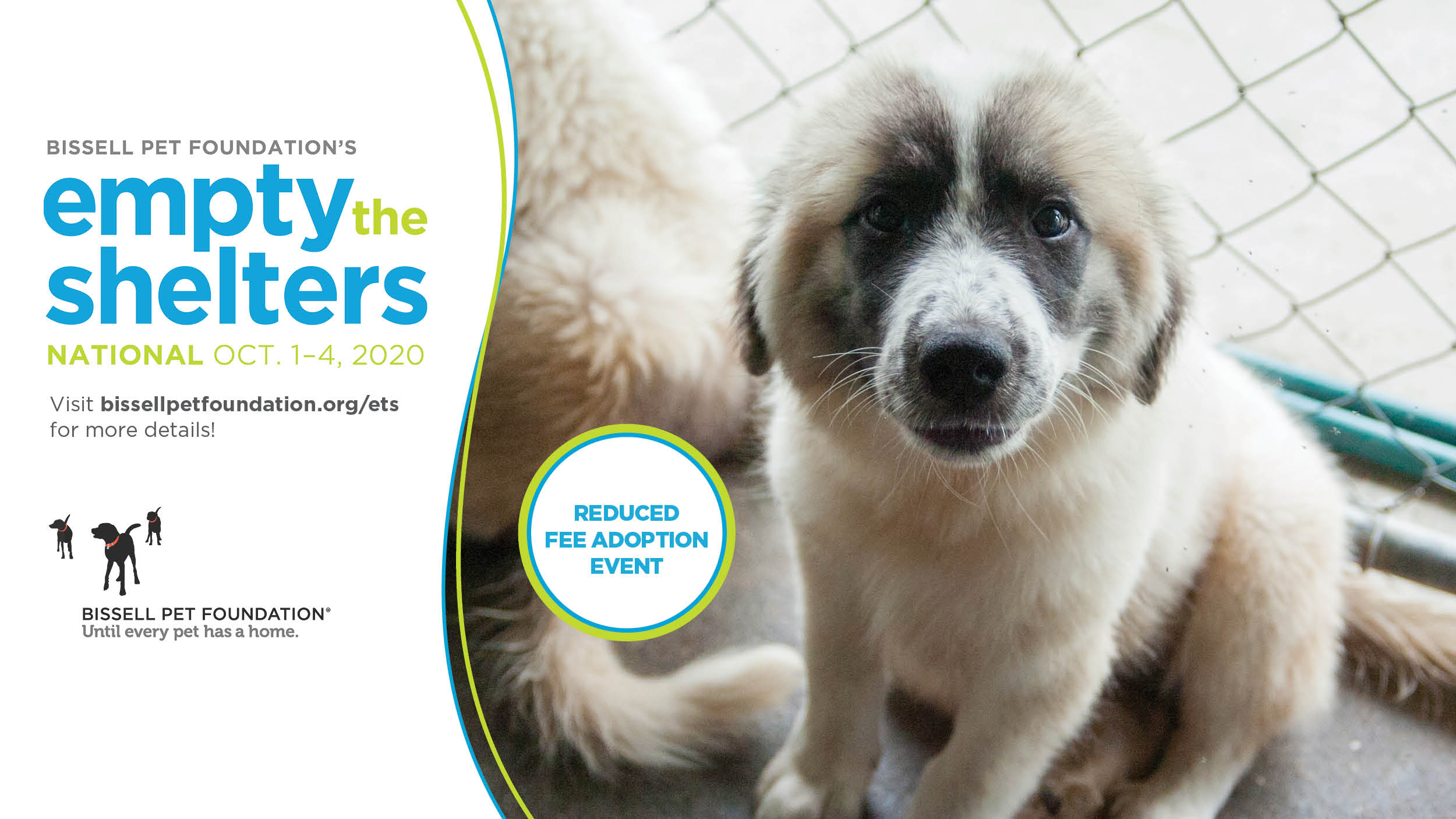 Halifax Humane Society Christmas Event 2022 Halifaxhumanesociety (@Halifax_Humane) / Twitter