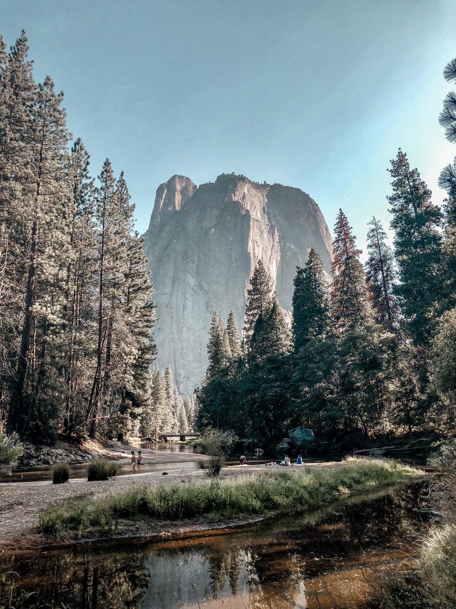 half_sist's tweet photo. U N I T E D  S T A T E S • California, Yosemite

https://t.co/Gq7XjCUM27 https://t.co/gmwBkJw5IJ