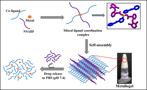 ACES_Journals's tweet photo. Swapneswar Mondal & Parthasarathi Dastidar @iacskolkata designed #metallogelators derived from NSAID-based Zn(II) #CoordinationComplexes for #DrugDelivery applications https://t.co/XFPpbExvrT https://t.co/3zRGxmp9rW