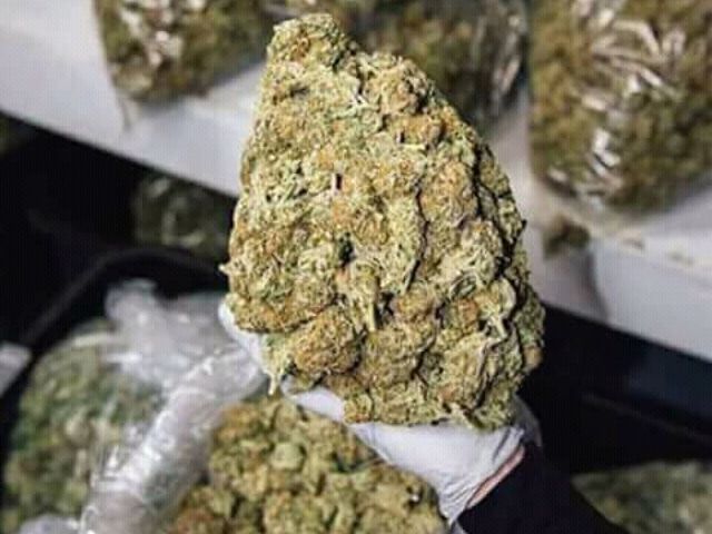 JacobRocker5's tweet image. We offer free sample packages to all our clients so they can test and
confirm our products quality and company legitimacy before placing
their orders .
#CannabisMedicinal
#cannabiscurecancer
#CannabisNews
#budtrader
#bud
#bongs
#WeedLovers
#weedlife
#medicalmarijuanadealer