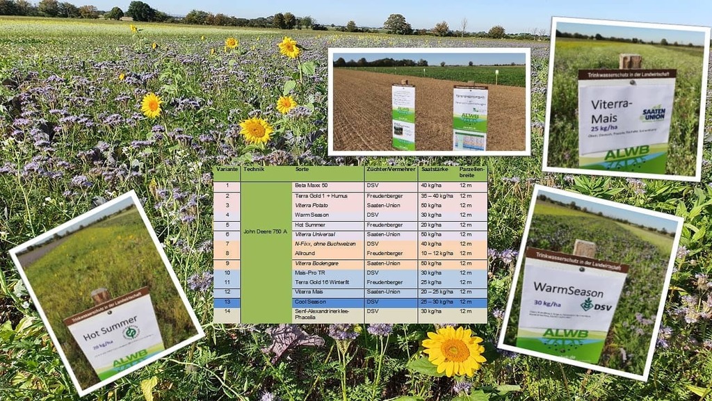 ALWB_de's tweet photo. Zwischenfruchtanbau für den Trinkwasserschutz 🌻 Nutzen Sie jetzt die Gelegenheit und schauen sich zwei Demonstrationsversuche (Direktsaat: einer nach Gerste, einer nach Weizen) mit verschiedenen Zwischenfruchtmischungen zwischen Buschhoven und Hohn a… https://t.co/Ao86xsw9EE https://t.co/4GbIvUsTkB