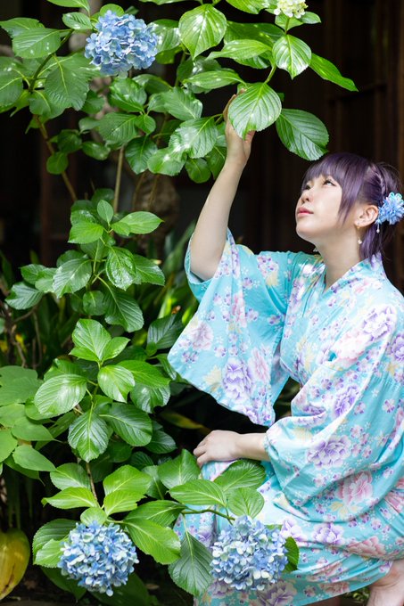 コスプレイヤー碧葉さちのTwitter画像13