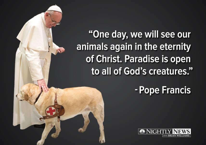 HamptonsTV's tweet image. Do all dogs go to heaven? Pope Francis says yes.