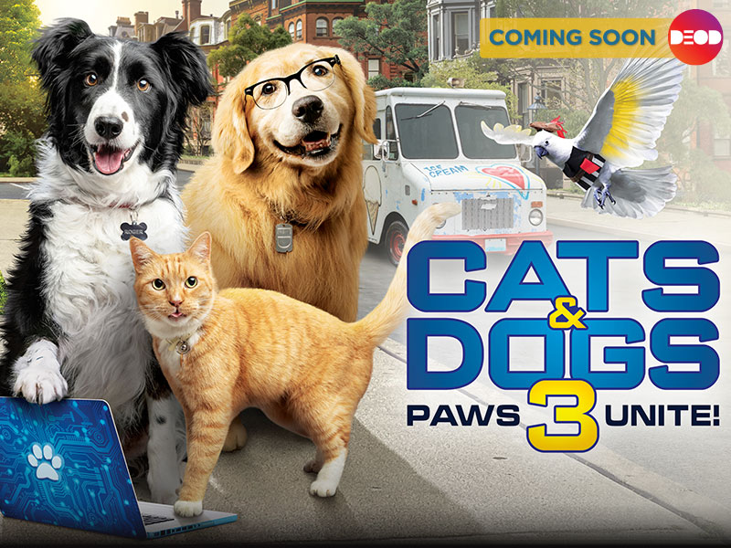 COMING SOON  to deod.tv! It's cats vs dogs in an attempt to save the human race in the thrilling adventure of Cats and Dogs.  Mark your calendars for 29 September 2020! 📅