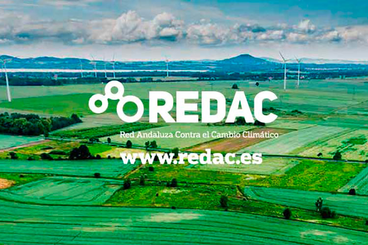 RedAndaluzaCCC tweet picture