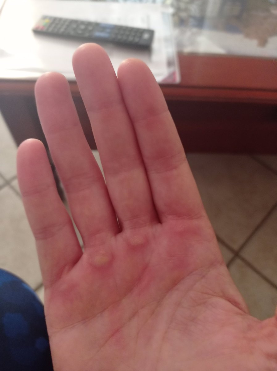 Maridel1991's tweet photo. Nuevos amiguitos..😓 https://t.co/hITJwAwyCI