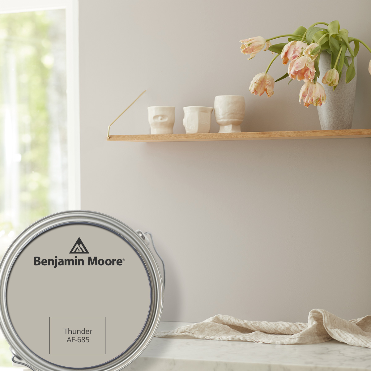 Our Benjamin Moore color of the month at Hagan Ace Hardware: Thunder