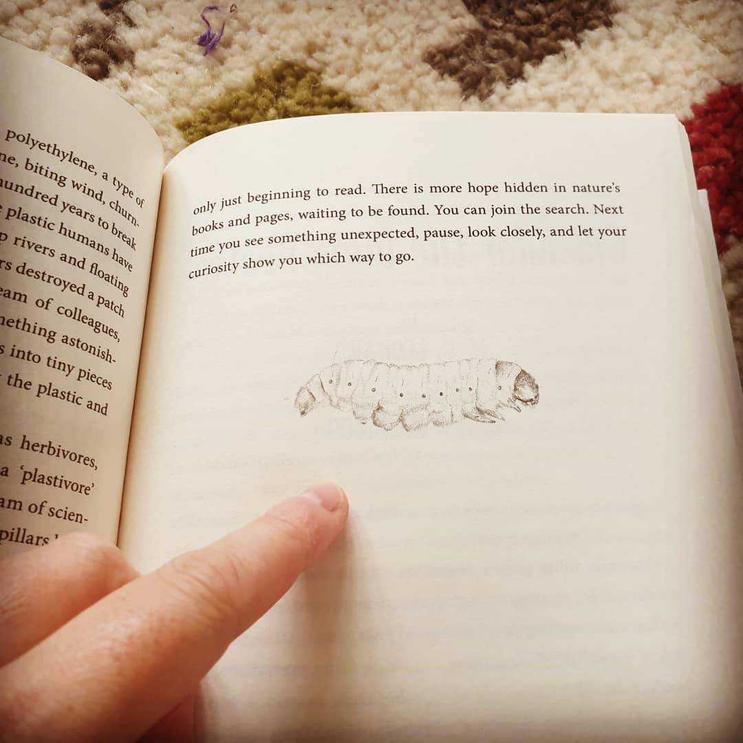 Spectacular post!🧡🧡🧡#thebookofhopes supporting @NHSCharities - a huge anthology of hope, hygge, wisdom and wonder to treasure forever, edited by #katherinerundell. Includes my first ever illustration for a book - a moth (larva) of course! #mothsmatter #plasticfree