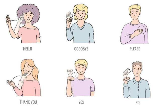 LifeatDarwin's tweet photo. Did you know today is the International Day of Sign Languages? Wouldn't it be great if we could all communicate in this way (especially with us all wearing masks at the moment)? Here are some basic phrases to get you started! #InternationalDayofSignLanguages #EverybodyThrives https://t.co/GlF48LxAwZ