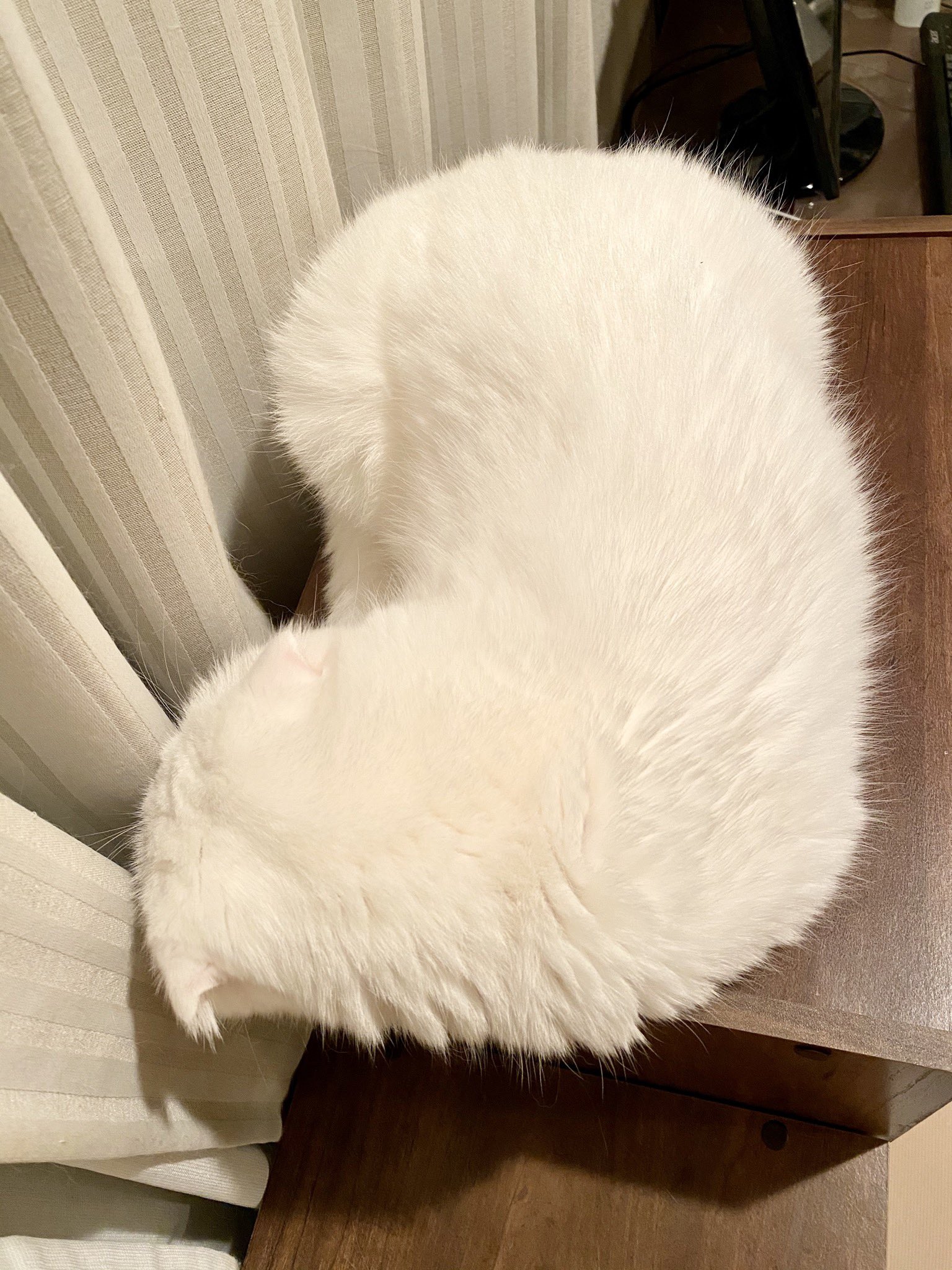 もろとむく まるか ハート型もふもふクッション T Co Q0idfmtxvx Twitter