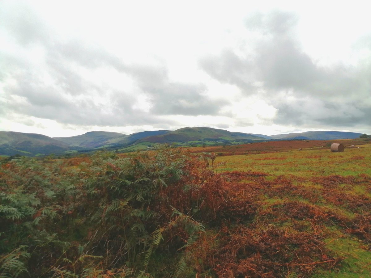 Martin Whittaker (@smoggiewalks) on Twitter photo Common views & Cache maintenance-- Mynydd Illytud #breconbeacons #explorelocal #discoverlocal #geocaching <a href="/DerekTheWeather/">Derek Brockway - weatherman</a> <a href="/OrdnanceSurvey/">Ordnance Survey</a> <a href="/LiveGeocaching/">Geocaching Live</a> <a href="/TheGAGB/">The GAGB</a> Common views & Cache maintenance-- Mynydd Illytud #breconbeacons #explorelocal #discoverlocal #geocaching <a href="/DerekTheWeather/">Derek Brockway - weatherman</a> <a href="/OrdnanceSurvey/">Ordnance Survey</a> <a href="/LiveGeocaching/">Geocaching Live</a> <a href="/TheGAGB/">The GAGB</a>