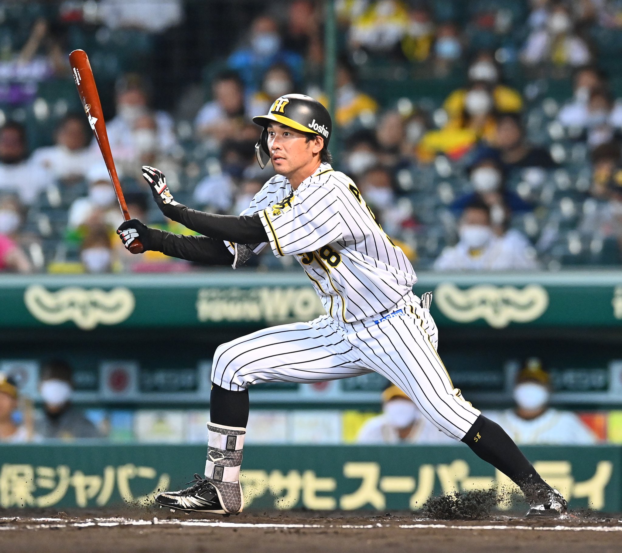 極トラ・プレミアム（日刊スポーツ） on X: 