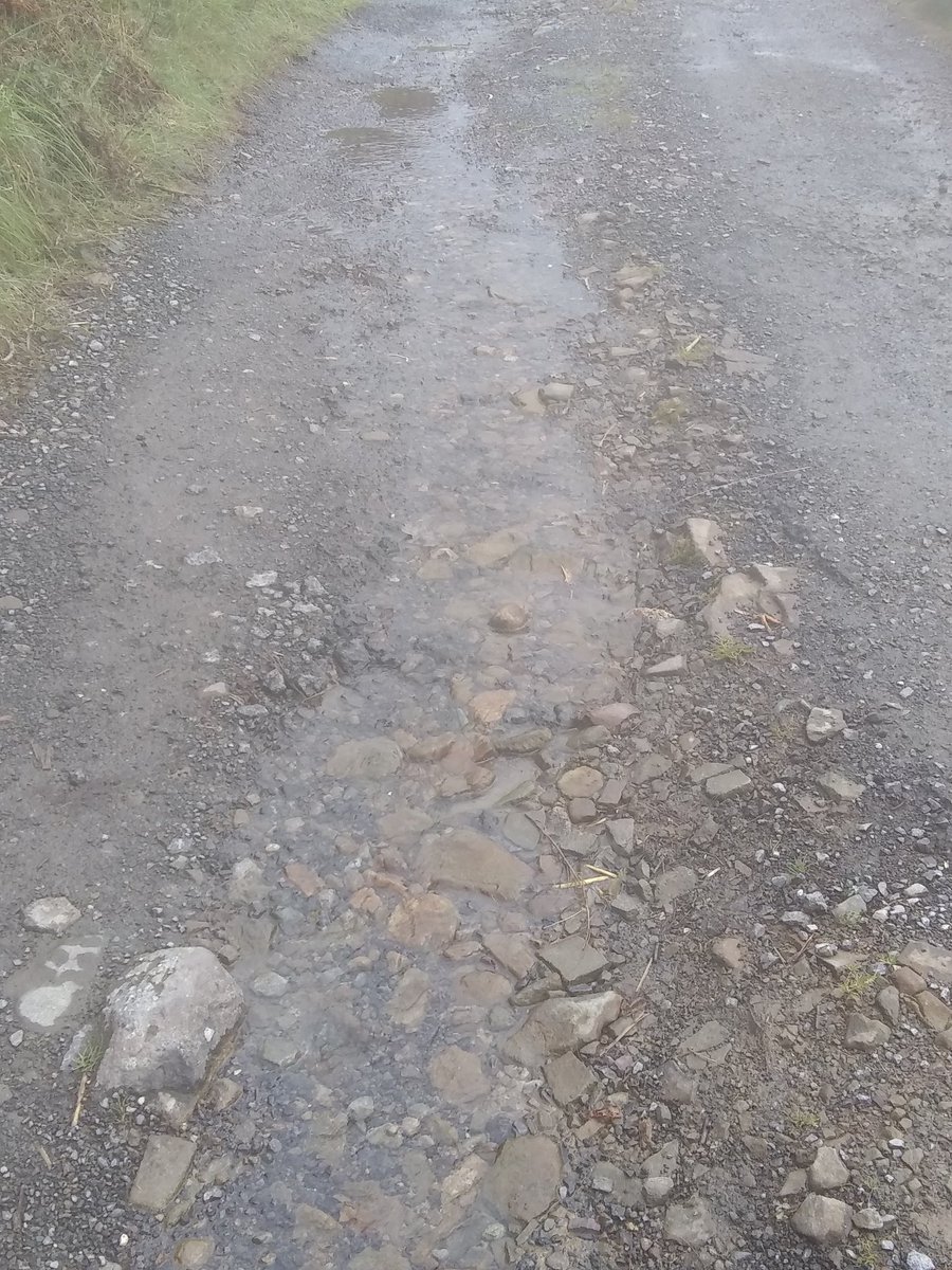 <a href="/DwrCymru/">Welsh Water</a> 1460 days, been waiting for leak to be fixed ..joke