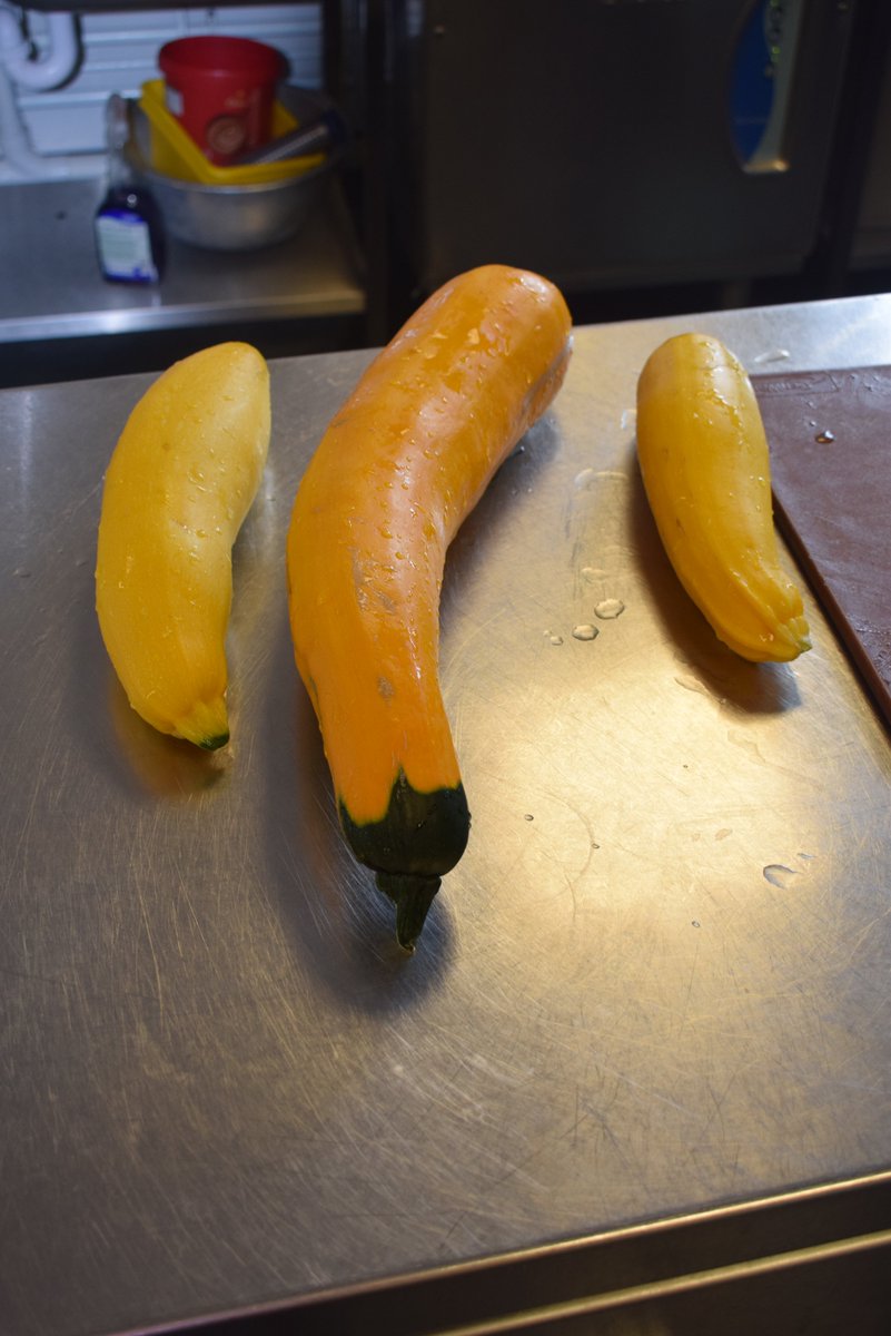 JBprimaryschool's tweet photo. Look at these amazing courgettes grown in the John Burns school garden.  They're being made into a delicious dish for the children's lunch. @LoveBattersea1 @jamieoliver https://t.co/iT62Vrq9Cc