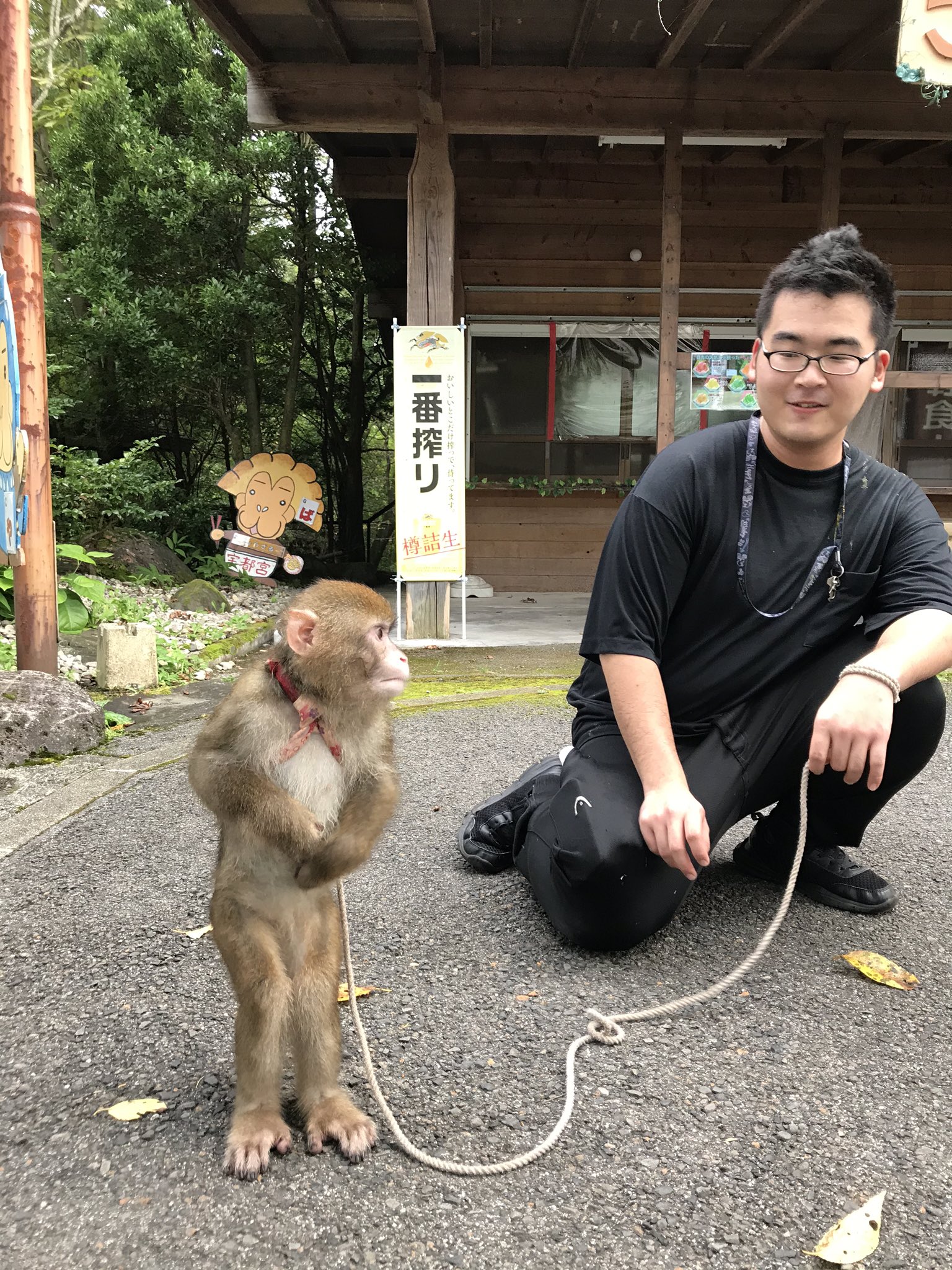 可愛いお猿さん Twitter Search Twitter
