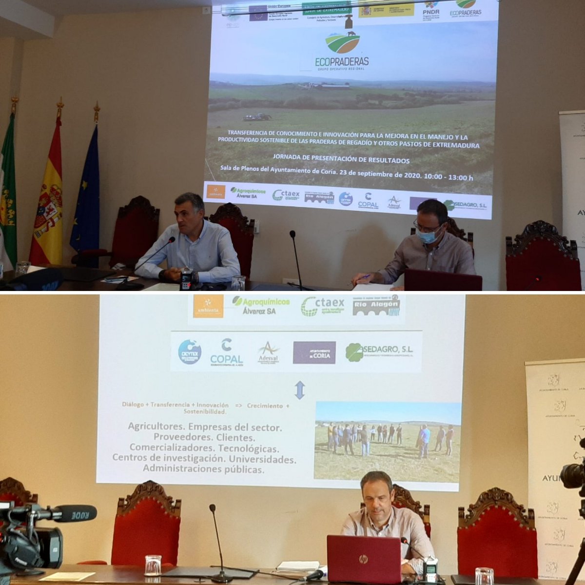 CICYTEX's tweet photo. Hoy participando en la Jornada d Presentación d Resultados dl Grupo Operativo Regional #EcoPraderas para la mejora en manejo y productividad sostenible d las praderas d regadío y otros pastos en Extremadura. Varios socios participamos 💪 Fotos gracias a @jllerenaruiz @CTAEX_CIT https://t.co/1XZHntumdR