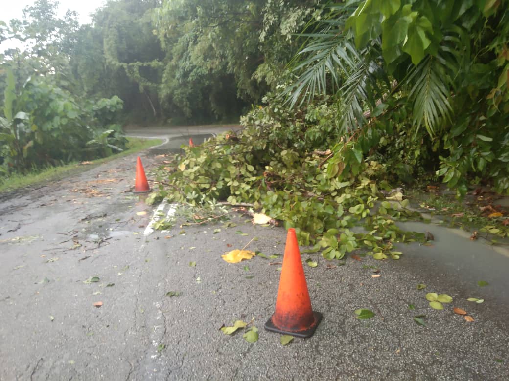 RcBentong's tweet photo. #teamroadcare kerja #kecemasan bersih #pokoktumbang di #ft09 sec111.53 @PetraJayaMP @ZTTCSFJ @MOWorks @JKRMalaysia @CSFJ_JKR @JKRPAHANG @Adnan90369221 @JKRBentong @Roadcare_Msia @Roadcare_Phg https://t.co/MD6uIO7zT5