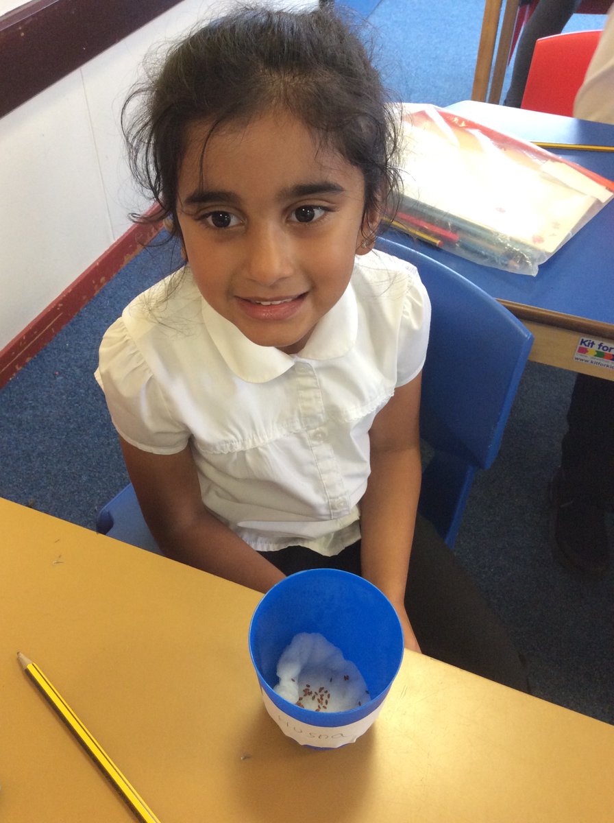 brinsworthwps photo