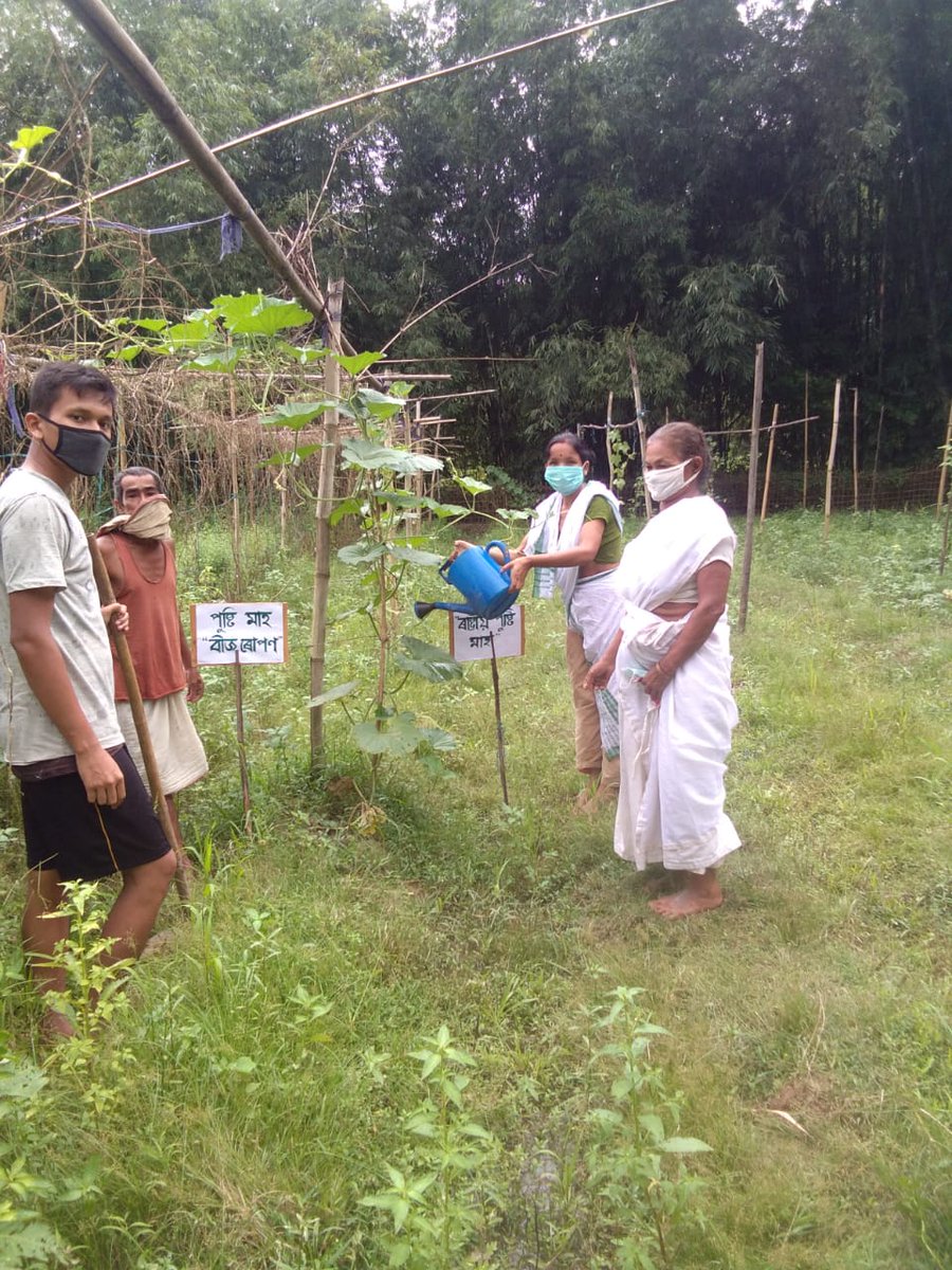 AmguriP's tweet photo. On the occassion of poshan maah 2020 Nutri garden is developed in awcs under Amguri ICDS project.
#POSHANMaah2020 
#local4Poshan 
#PoshanAbhiyaan 
#SahiPoshanDeshRoshan https://t.co/d2UeMsrBoS