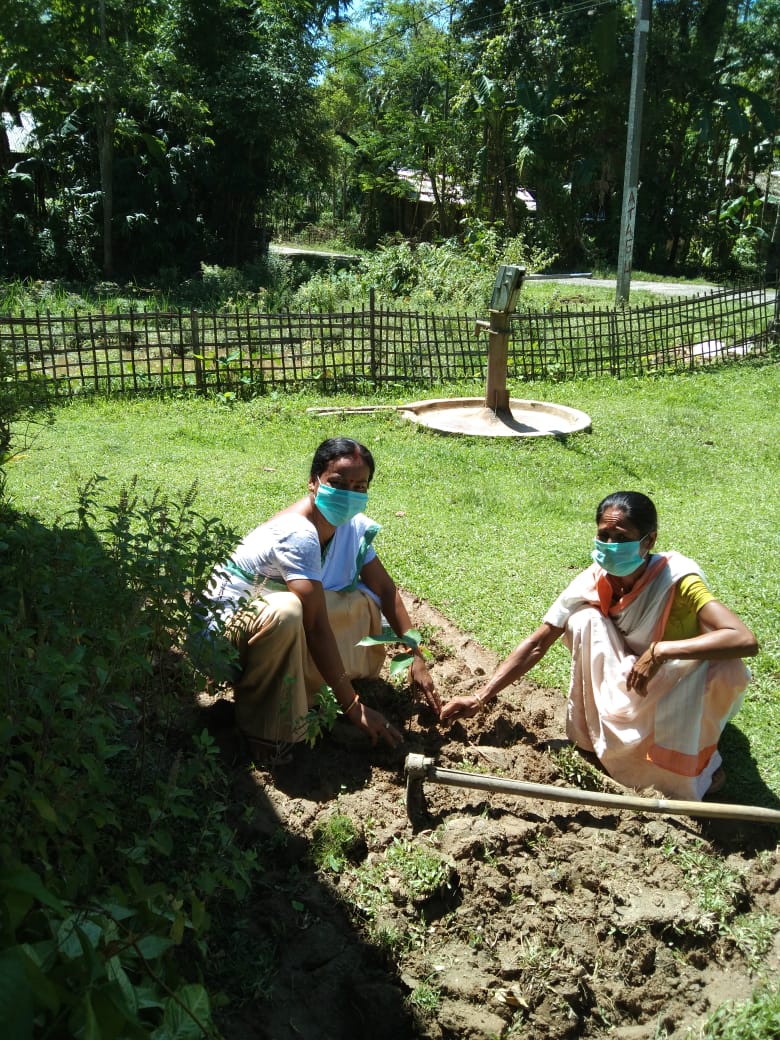 AmguriP's tweet photo. On the occassion of poshan maah 2020 Nutri garden is developed in awcs under Amguri ICDS project.
#POSHANMaah2020 
#local4Poshan 
#PoshanAbhiyaan 
#SahiPoshanDeshRoshan https://t.co/d2UeMsrBoS
