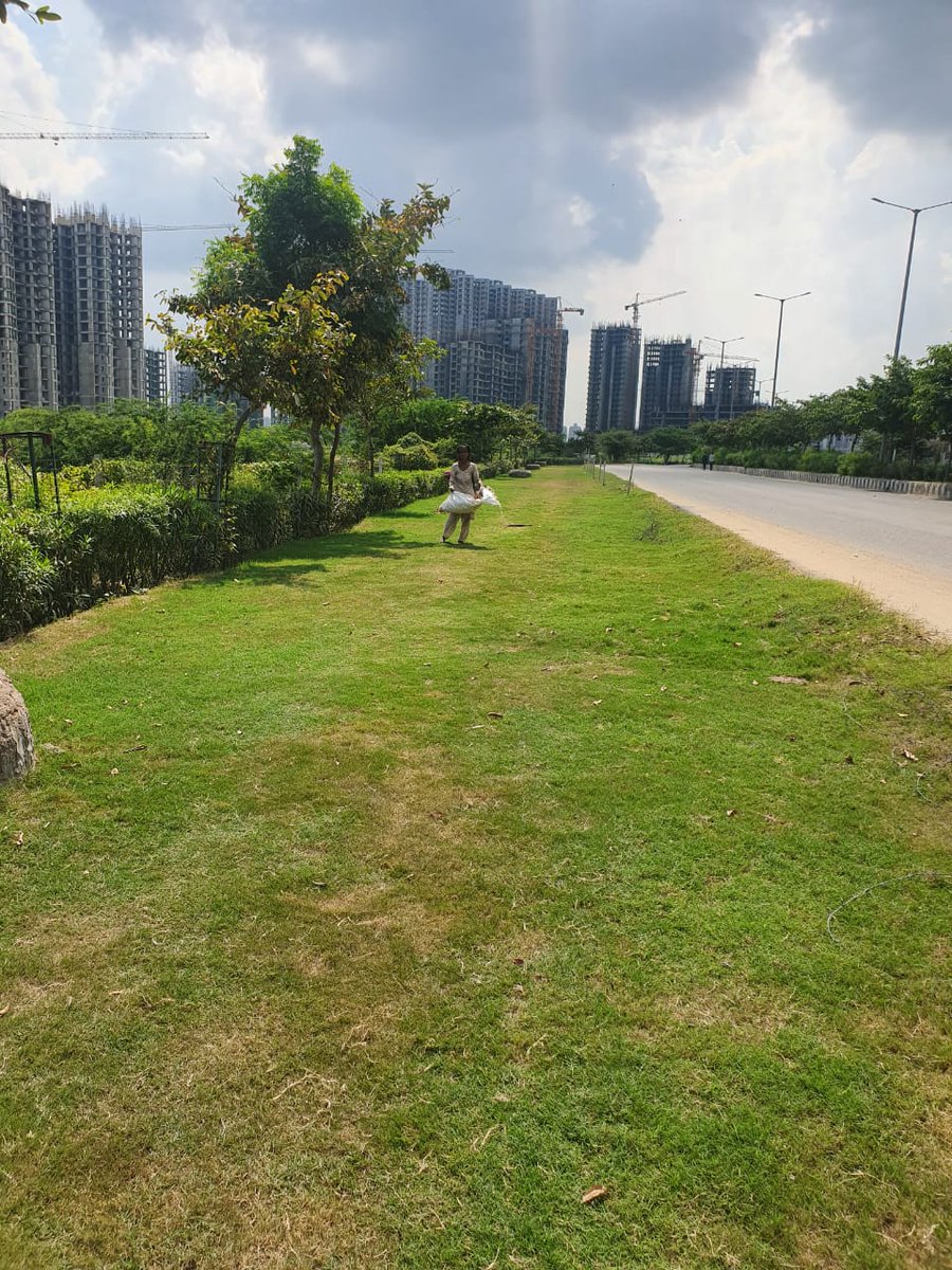 noida_authority's tweet photo. Our Horticulture department has created a dust-free zone on both sides of a 7.5 km stretch of road in Sector-78 and 79.
The Dust-free zones help prevent the incidence of dust pollution, helps in retention of water and contributes towards a #BeautifulNoida
#GreenNoida
@CMOfficeUP https://t.co/Vh3bmyeNIb