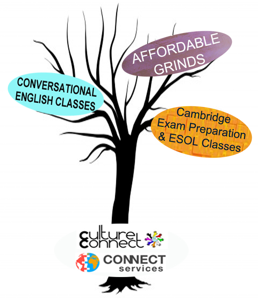 CultureConnect3's tweet photo. CLASSES ARE BACK OPEN!
We are currently taking bookings for online/ in-person classes. We offer English and other languages, as well as affordable after-school grinds.
Please note that Classes will adhere to government rules pertaining to Covid restrictions. #schools #drogheda https://t.co/0mqk4salyZ