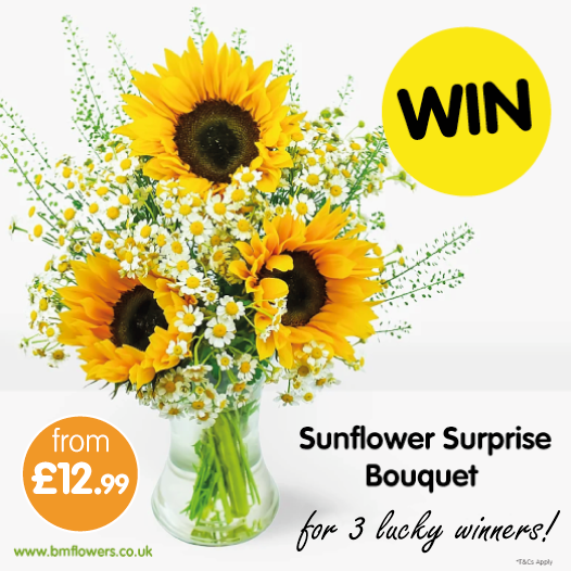 bmstores's tweet photo. 🌻FLASH #COMPETITION TIME🌻

We're giving away 3 chances to WIN a stunning Sunflower surprise bouquet; to keep summer going a little longer! https://t.co/ahji0eNOg2

For your chance to #WIN, simply FLW/RT &amp; COMMENT WHEN you last bought or received flowers!

COMP ENDS 9am 24/9/20 https://t.co/UUIDlDQR7b