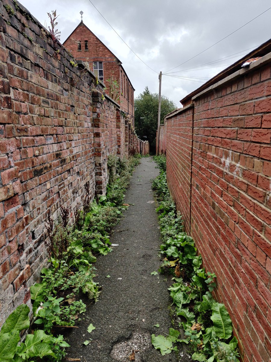 Everything Wigan 🌈 tweet media