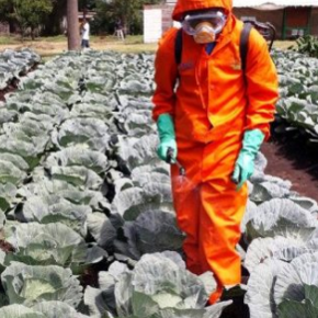 Pesticide applicators can minimize or nearly eliminate exposure &amp; thus reduce hazards. Plant medicine is not meant for humans to breathe in or put onto their skin. Spray wisely: follow the instructions on the label and use personal protective clothing and equipment. #SafetyFirst