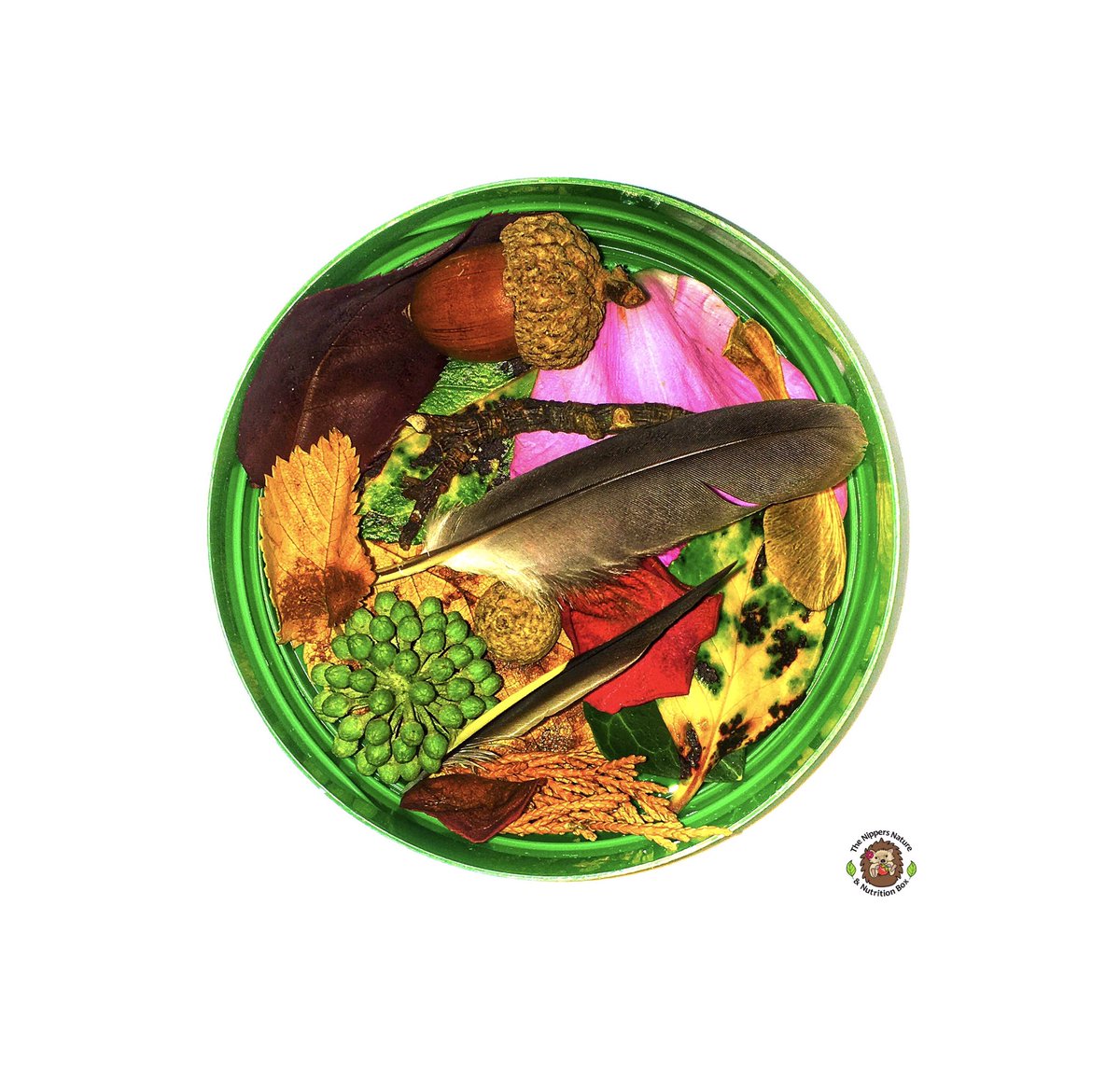 Today we decided to ditch the sensory tray and create little sensory lids from pesky plastic (we aim to reuse all of our plastic lids to reduce plastic waste!). 

You can find out more about our woodland themed lid over at facebook.com/89996501036031… 

#nature 🍁 #outdoorlearning 🍂