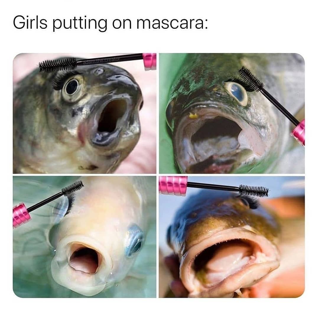 Impossible to do otherwise!! 🤣🤣🤣
.
#lashes #beauty #instantbeautyenhancements #diylashes #magneticeyelashes #magneticeyeliner #cateye #meow #eyelashes #mascara #lashvolume 
Image via : <a href="/adorebeauty/">Adore Beauty</a> @asos