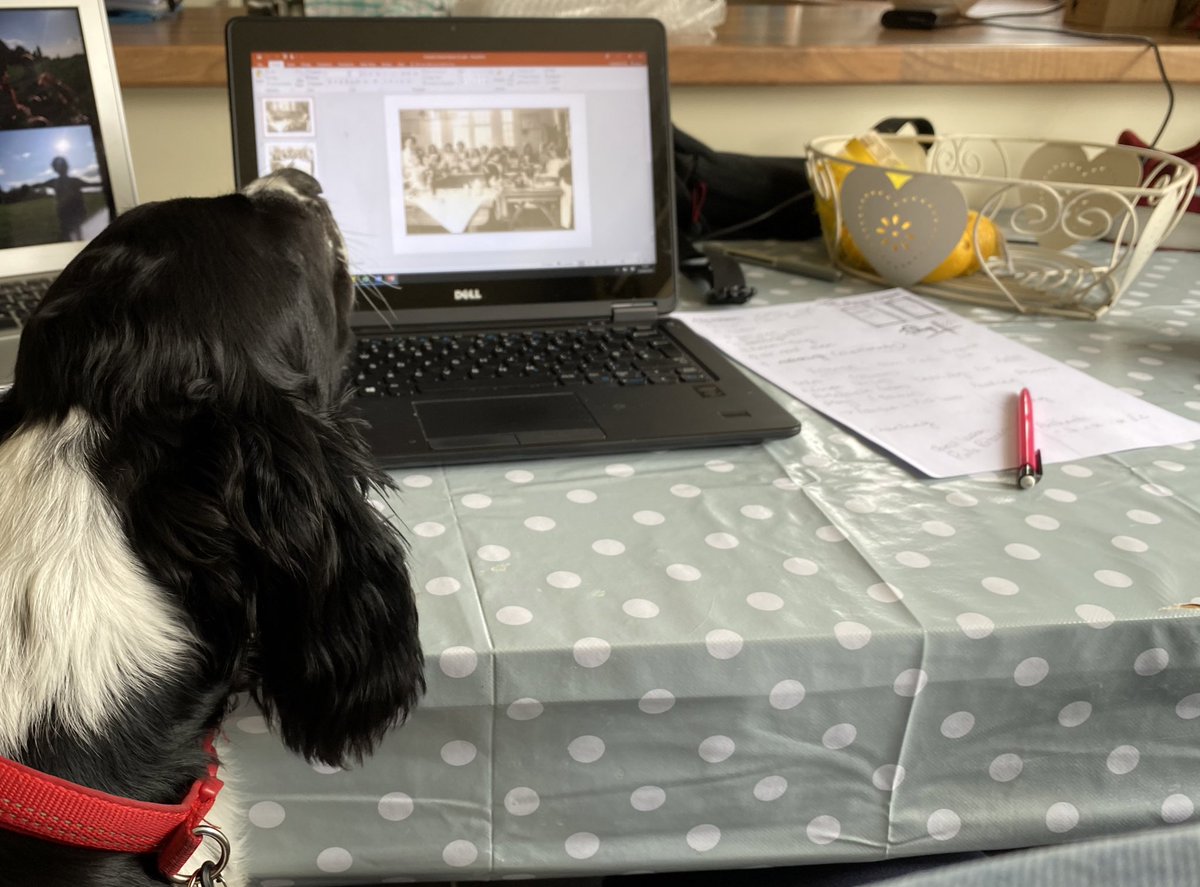 SpanielsofKC's tweet photo. What’s this, Mumma you’re coming off furlough? You have to work?
Can I helps? Paawweeeessseeee?
#dogsoftwitter #furlough #dogsthathelp https://t.co/ZC5iMh2HAc