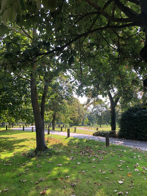 BCA_Maidenhead's tweet photo. Yesterday marked the official start of #Autumn - a season that shows our stunning 400-acre campus in all its splendor. We can't wait for the crisp frosty mornings and to see our #Acers turning from green to red 🍂 We can always rely on nature not to disappoint https://t.co/nDCKvQE9IF