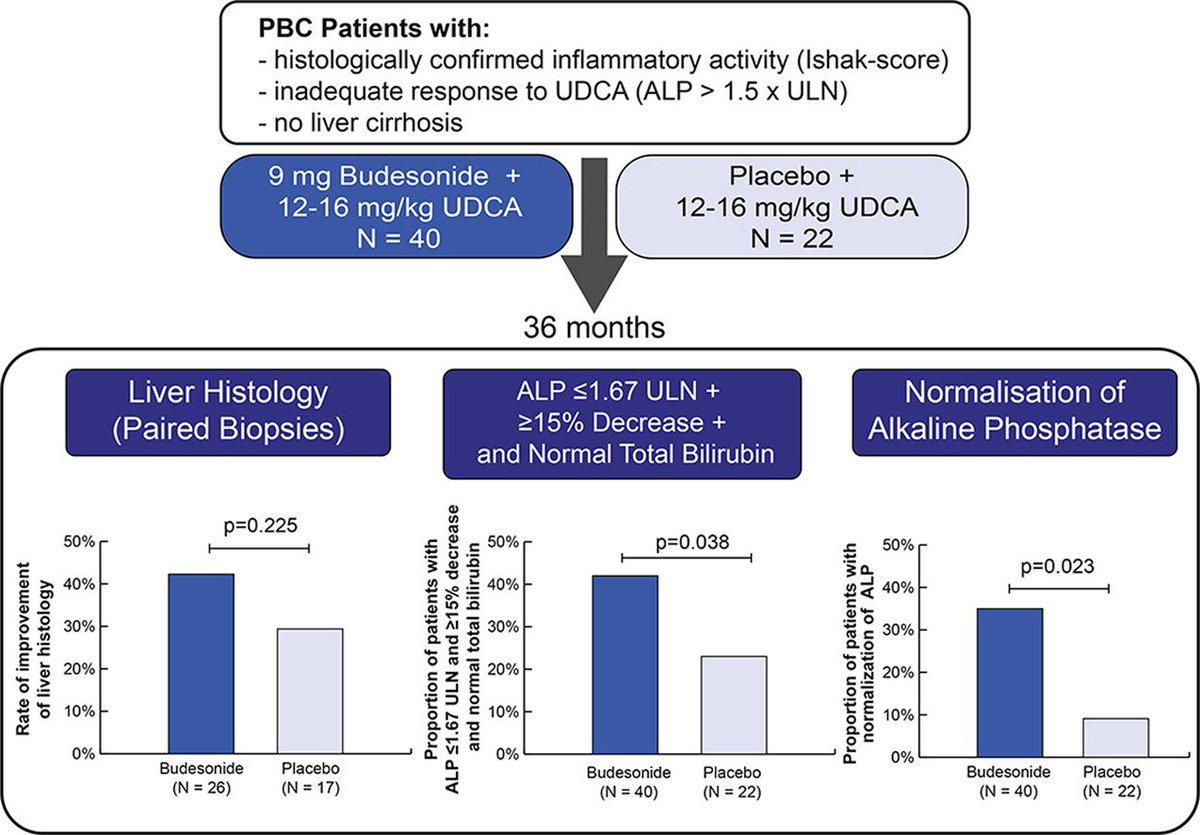 rrosenblattmd's tweet photo. As always, nice study by @AutoImmuneLiver in @JHepatology. The improvement and normalization of alk phos hint at a possible benefit of budesonide. Maybe ↗️ recruitment in US since only OCA offered (not bezafibrate).  #livertwitter https://t.co/3D2cQv1ar5 https://t.co/tM9IKMSdvy