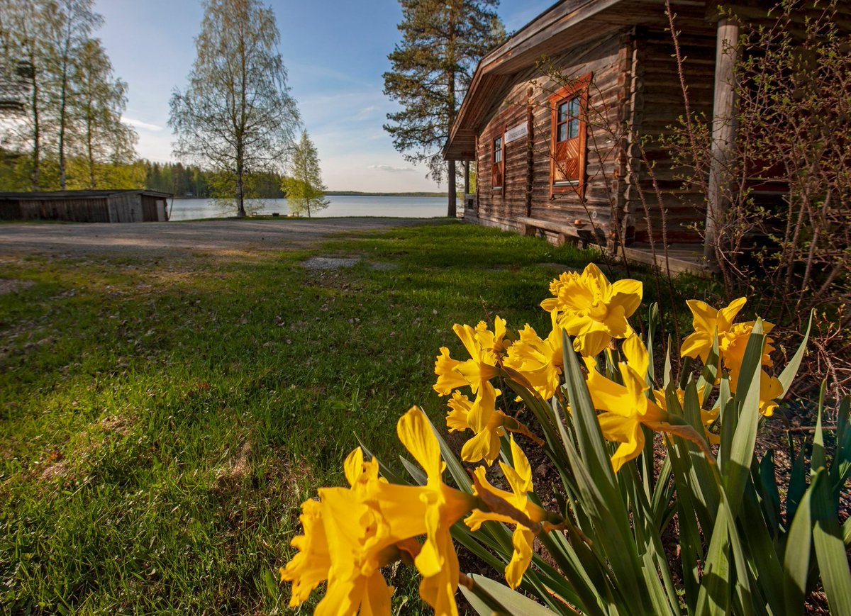 Mukavuusalue's tweet photo. Tervetuloa mökkilomalle Keski-Suomen Hankasalmelle! ❤️

 #Matkailu #Mökkiloma #Sauna #Kotimaanmatkailu https://t.co/e6HEkPu112