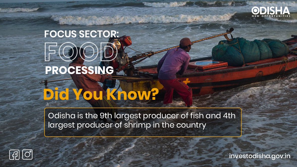 InvestInOdisha's tweet photo. #DidYouKnow that #Odisha is the 4th largest shrimp producer in the country and 9th largest fish producing State, both with a high demand.
#FocusSector #InvestOdisha https://t.co/KUaK9N39WJ