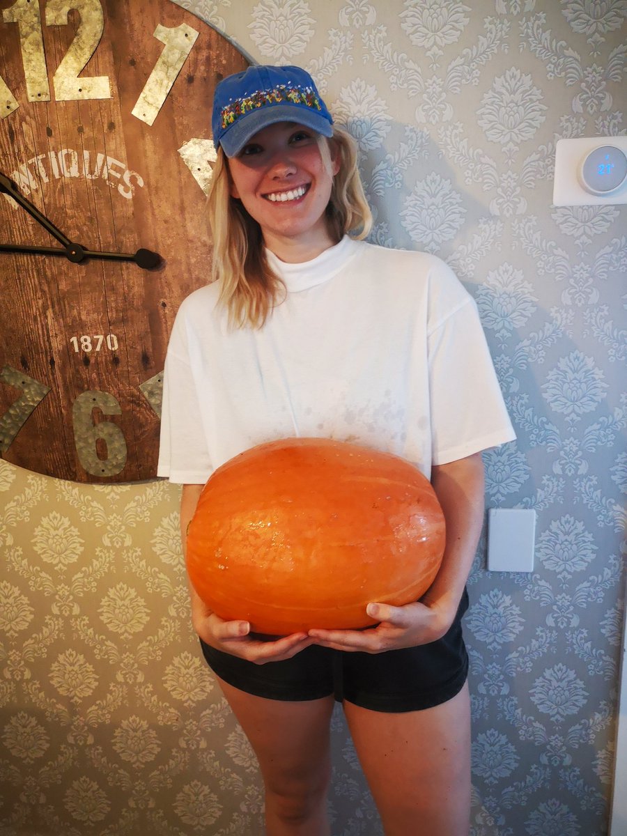 Instead of travelling this summer, something we had been saving up for a whole year for, we decided to try new hobbies and learn new skills, like #gardening. We just got this 20 lbs pumpkin out of it! Is this even a #travelblog anymore?