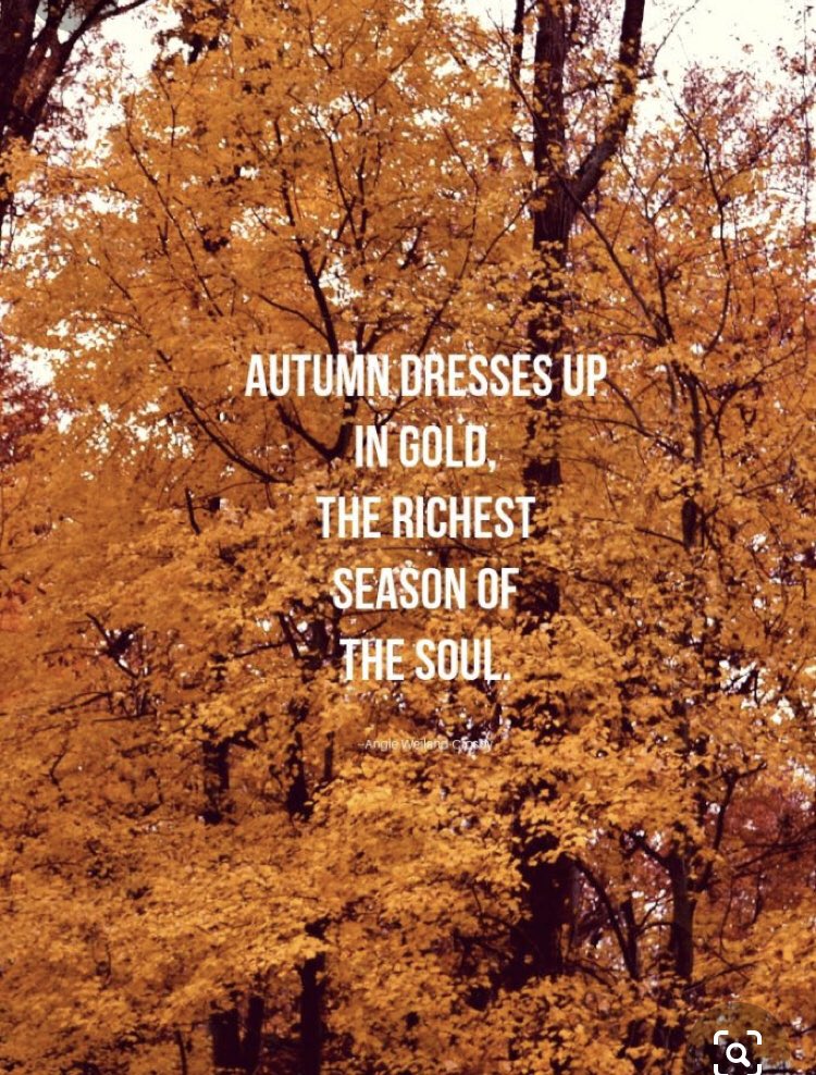 alliekochinsky's tweet photo. The change of the seasons is always a beautiful reminder that we too can benefit from rest and renewal. #AutumnEquinox #fallquote https://t.co/ywhmxeyLYE