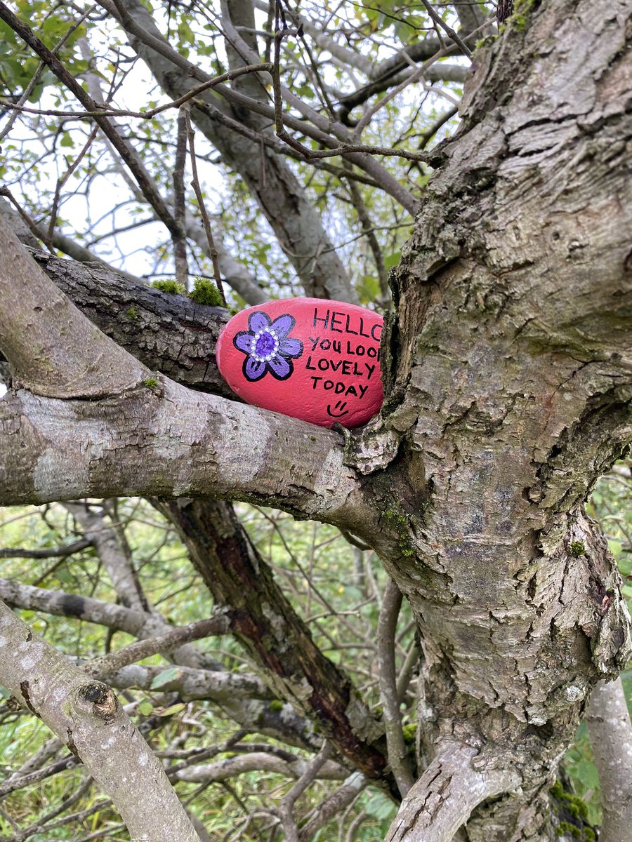 What a nice thing for someone to do ! #wellbeingwednesday #wellbeing #Mindfulness #heywoodwithaheart <a href="/kerryrelease/">Kerry Bertram (she/her)</a> <a href="/Saharaparce/">Sarah Pearce</a> #KindnessMatters #kindness