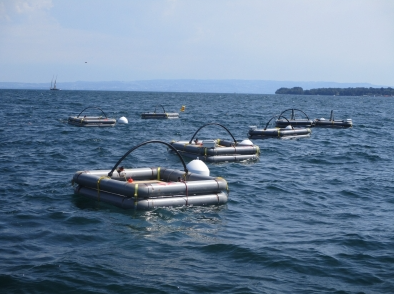 UmrCarrtel's tweet photo. [#DataArticle] 'In situ pelagic dataset from continuous monitoring: A mesocosm experiment in Lake Geneva (MESOLAC)' with  @IsabelDomaizon #Stephanjacquet #LaurentEspinat @MissSynedra  @tk_viet #ClementineGallot @UmrCarrtel @INRAE_Lyon_Gre @Univ_Savoie ▶️https://t.co/FR3VQFQacB https://t.co/7lP3GKy3Xk