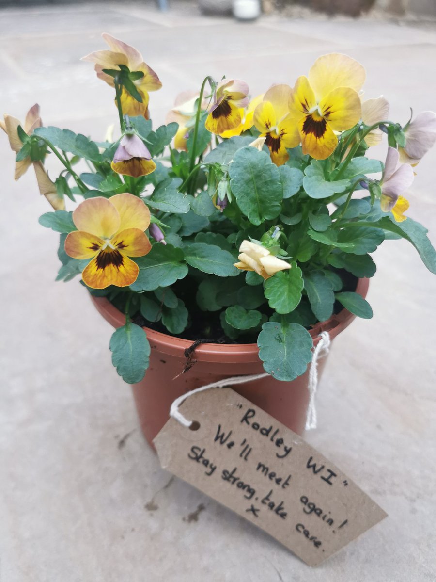 A lovely gift from the committee to all our members at Rodley WI @WYFWI @WILifemagazine