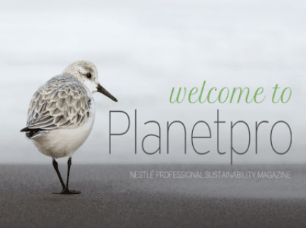 Nestlepro's tweet photo. We are proud to announce the launching of our digital magazine, Planetpro, which will cover a range of environmental topics that are closely tied to the foodservice industry. Read more here: https://t.co/Bf1fmFT2oG
#Planetpro #NestleProfessional #CircularEconomy #WeareNestle https://t.co/tDTrjwSPP4