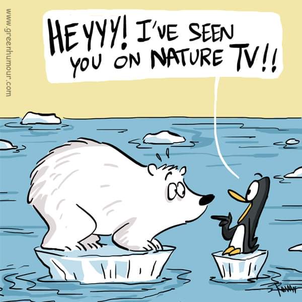 iPrateekBohra's tweet photo. Plant trees, Save animals, Prevent Global Warming, Save our ecosystem @vegan @veganoutreach #Planttreess #globalwarmingawareness #globalwarmingisreal #Saveourecosystem #protectanimals #saveflora #savefauna #nature #planttreesplanthope https://t.co/QbmAN2i7kt