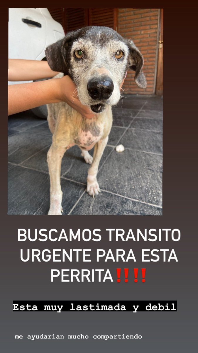 vikicortes's tweet photo. Me ayudarian mucho con un rt!!!! 🙏🏻🙏🏻🙏🏻 https://t.co/zRbk8k4Xif
