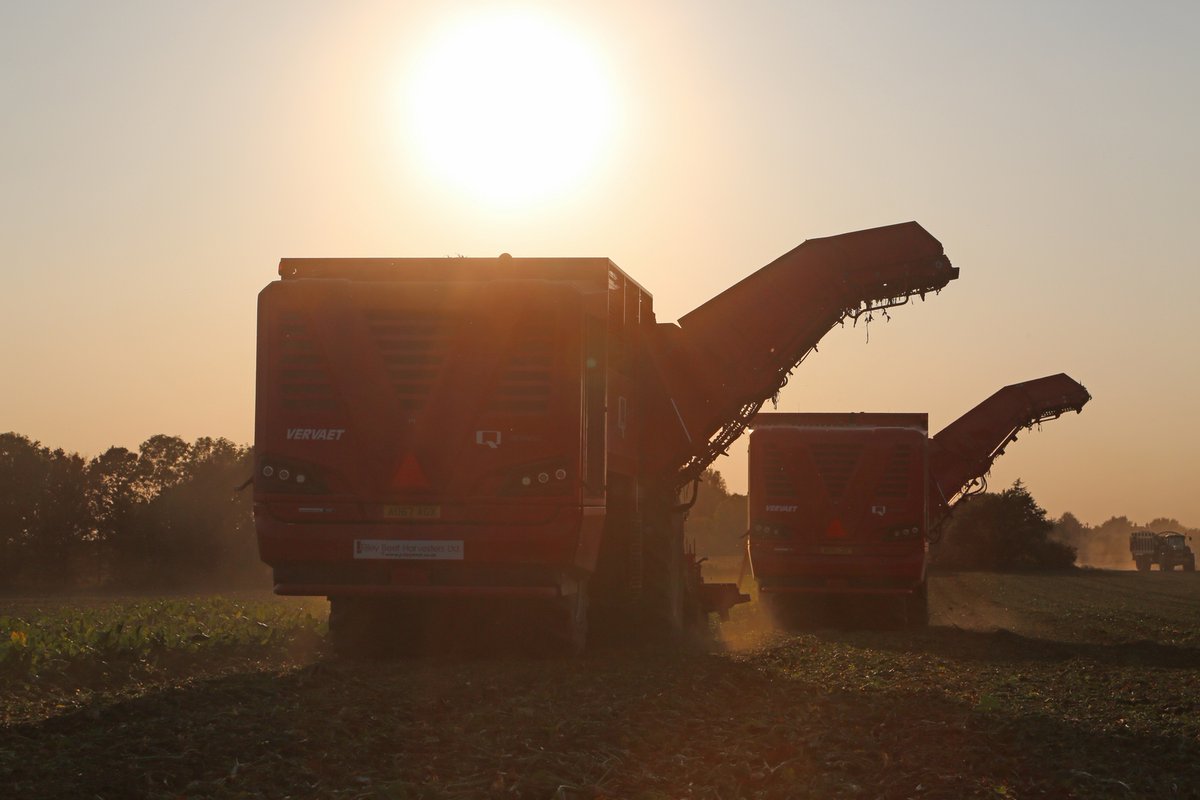 With <a href="/BritishSugar/">British Sugar</a> factories opening <a href="/JRileyBeet/">J Riley Beet Harvesters (UK) Ltd</a> engineers are extremely busy setting off new <a href="/FransVervaetBV/">Vervaet</a> machines. This #brandnew Q-616 joins a customer’s existing Q-616 and together they make a fine sight #lifting into the evening. #beet #vervaet #jriley #sugarbeet2020