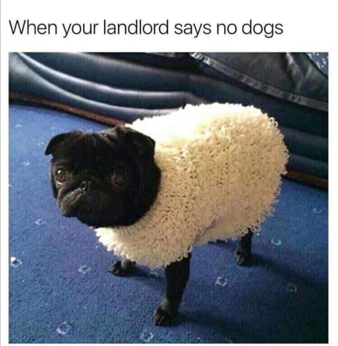 Johno@aston (@johnred60715784) on Twitter photo 