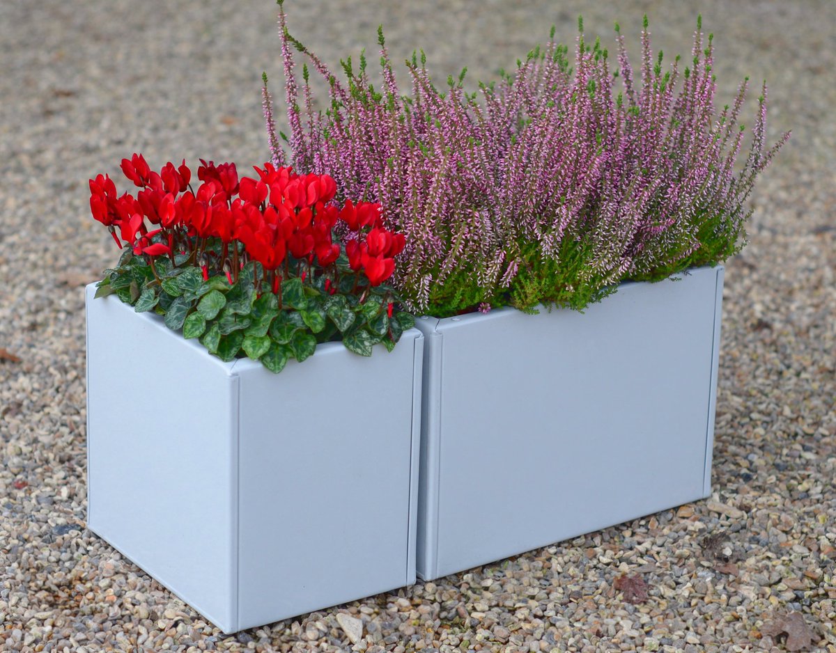 Cedar Nursery - Plants and Outdoor Living tweet media