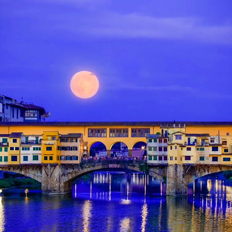 NoonGin's tweet photo. Another evening, another Noon 💜
#FlorenceCocktailWeek #Gin #Firenze #Italia #BellaItalia #Cocktails #Drink https://t.co/fnM6MRX4b8