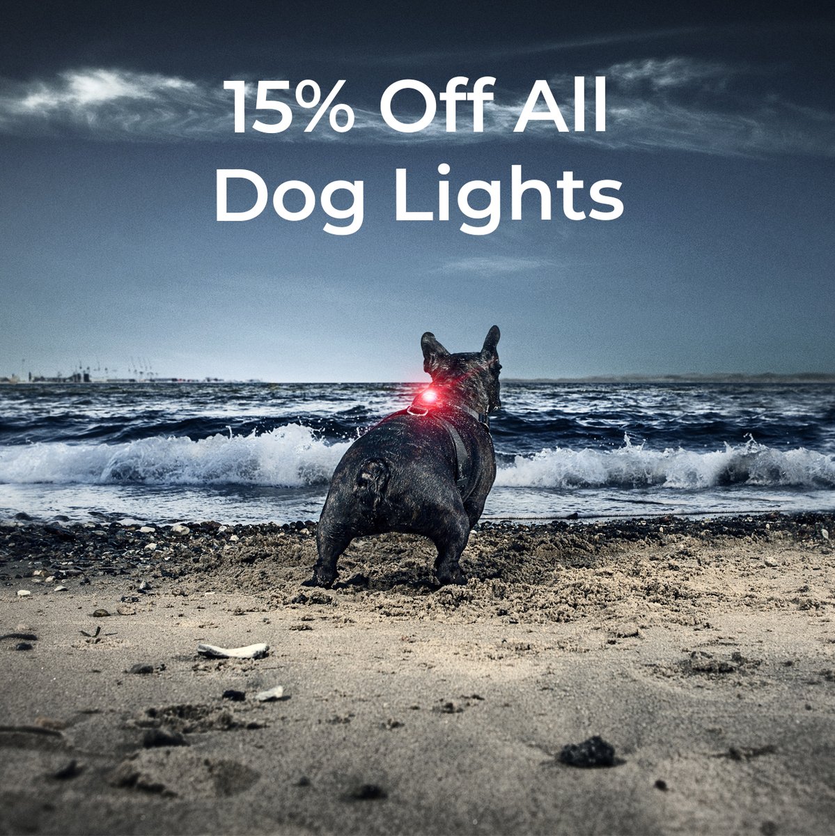 Zena Conkey tweet media