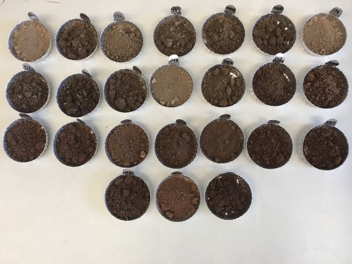 DrylandAlgae's tweet photo. Sending more positivity - take a sec and enjoy these NM beauties! #soil #soilmicrobiome #soilcolor #pecan Soils were collected for a project funded by @NMSUaes @nmsu_aces https://t.co/kFf21Ot7sf